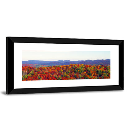 Autumn in the Appalachian Forest Wall Art