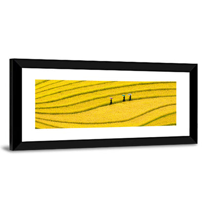 Golden Rice Terraces with Umbrellas Wall Art