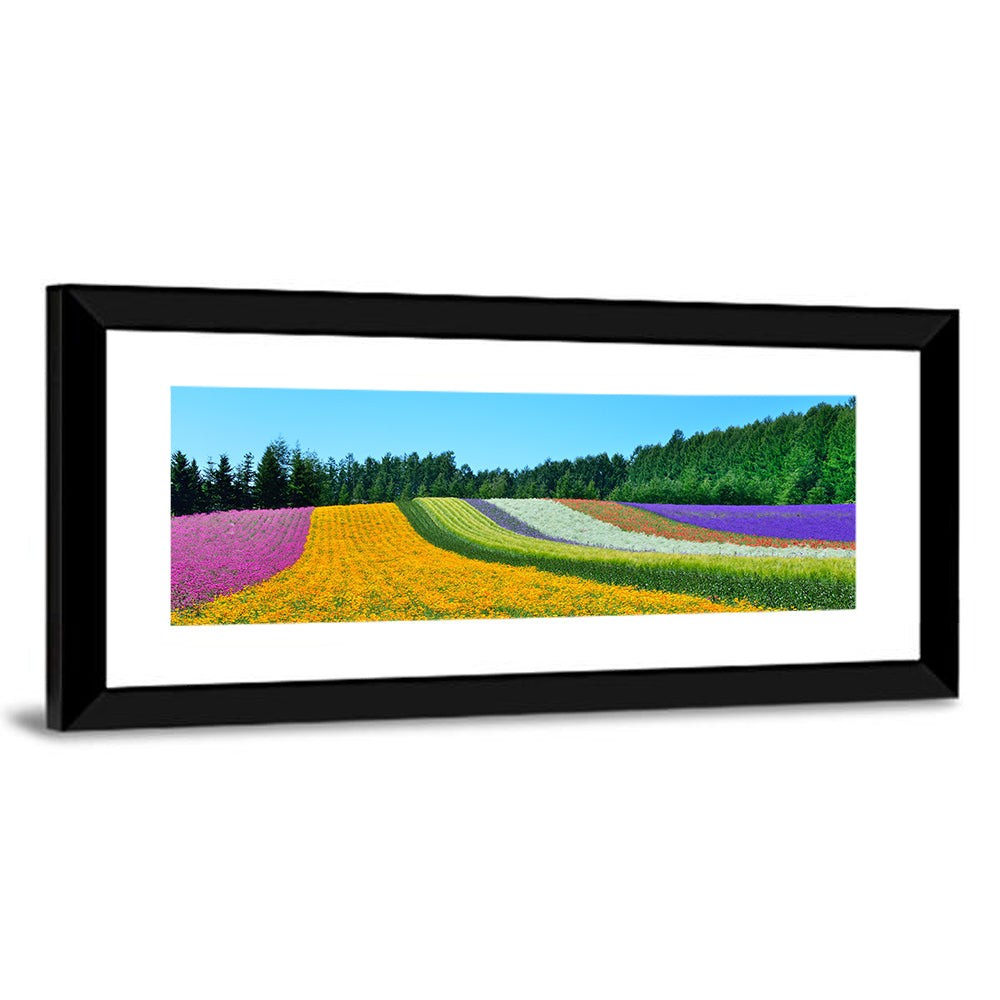 Tomita Flower Fields, Nakafurano Wall Art