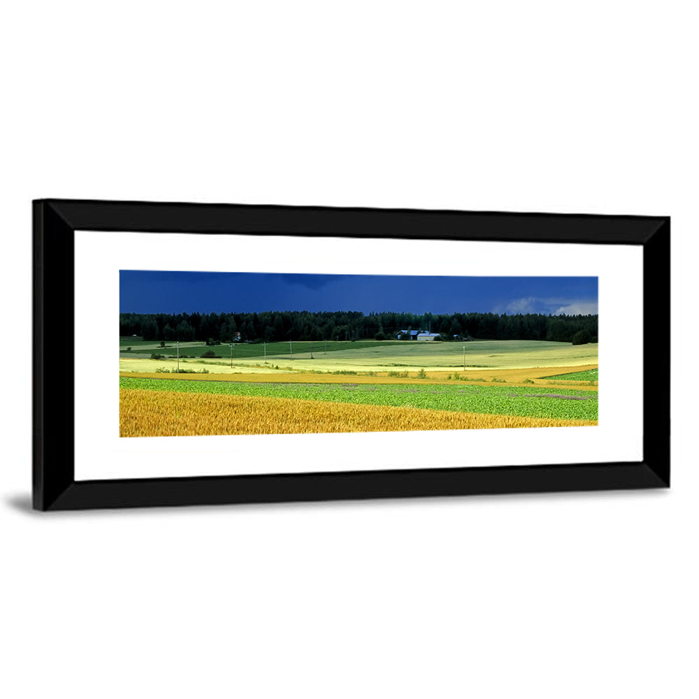 Cornfields Under Stormy Sky Wall Art