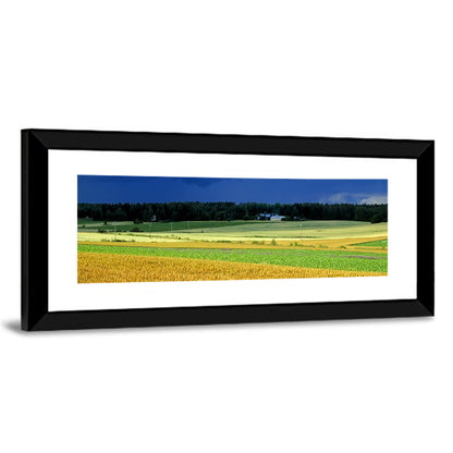 Cornfields Under Stormy Sky Wall Art