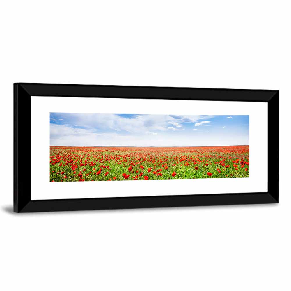 Red Poppy Field Wall Art