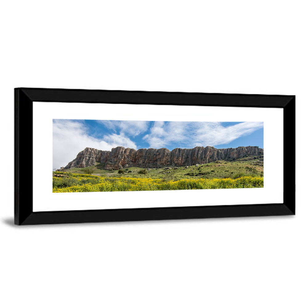 Mount Arbel Wildflower Meadow Wall Art