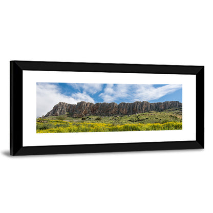 Mount Arbel Wildflower Meadow Wall Art