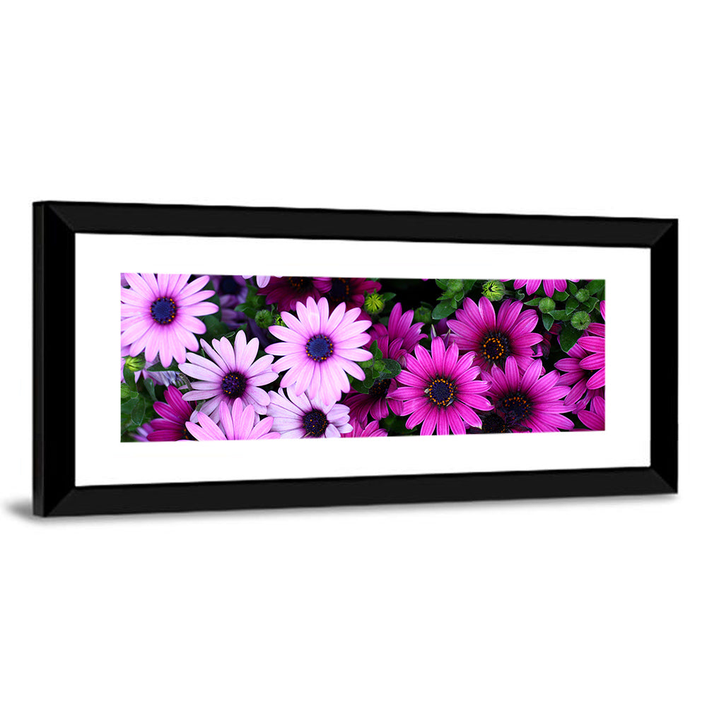 Pink and Purple Daisies Wall Art