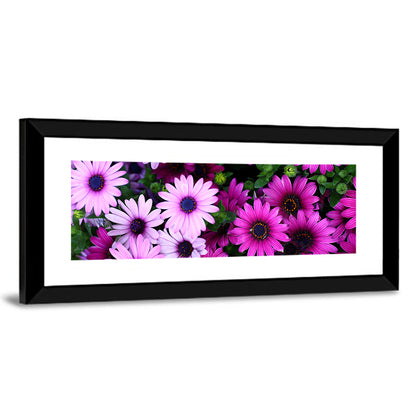 Pink and Purple Daisies Wall Art