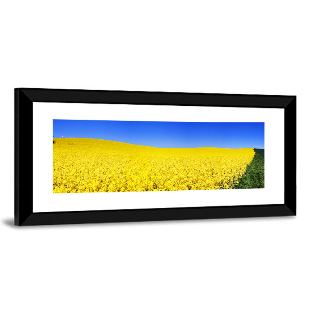 Sunlit Rapeseed Field Wall Art