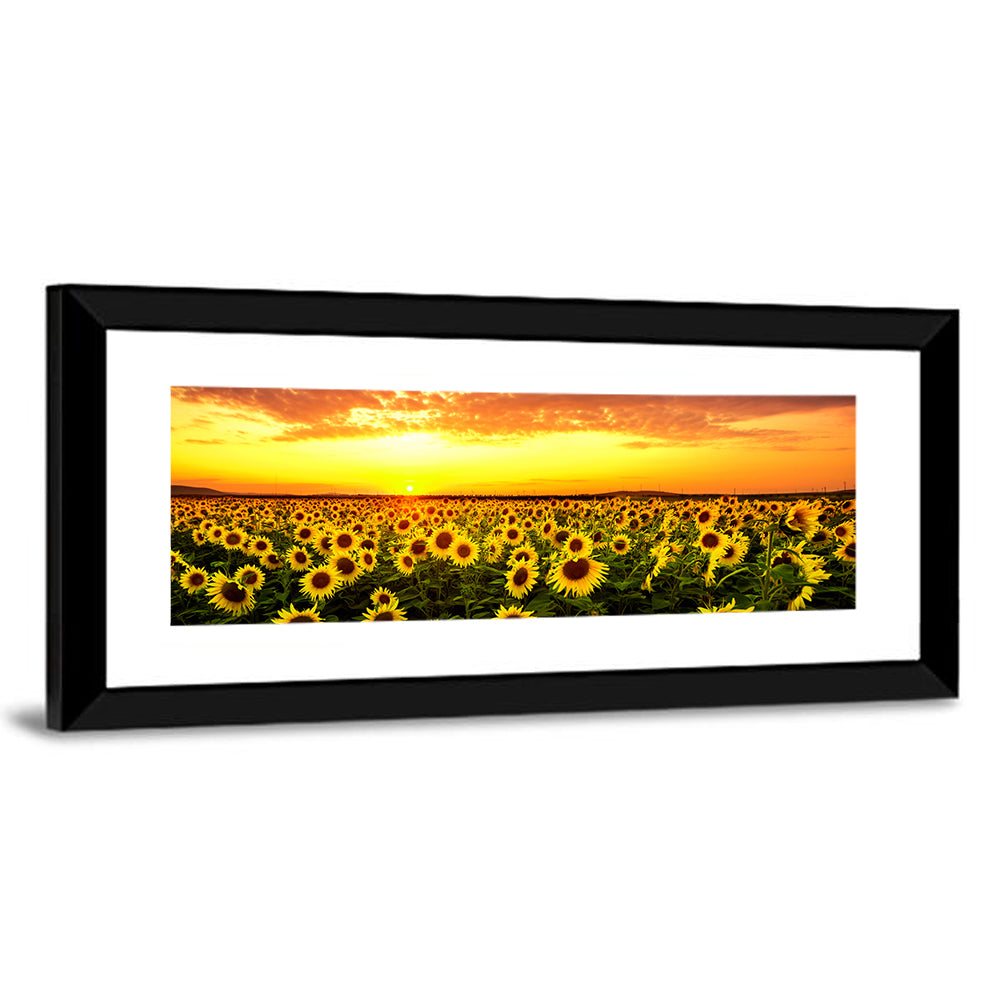 Golden Hour Sunflower Field Wall Art