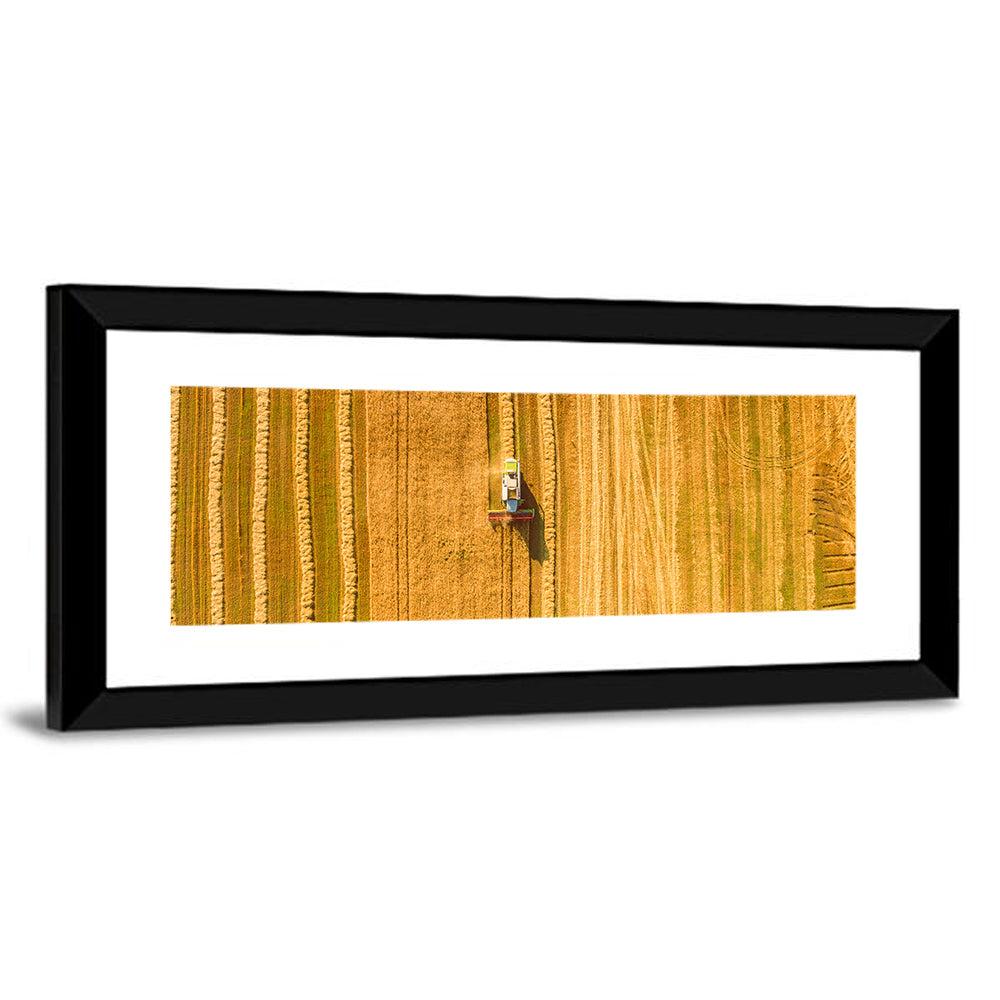 Aerial Wheat Harvest Wall Art