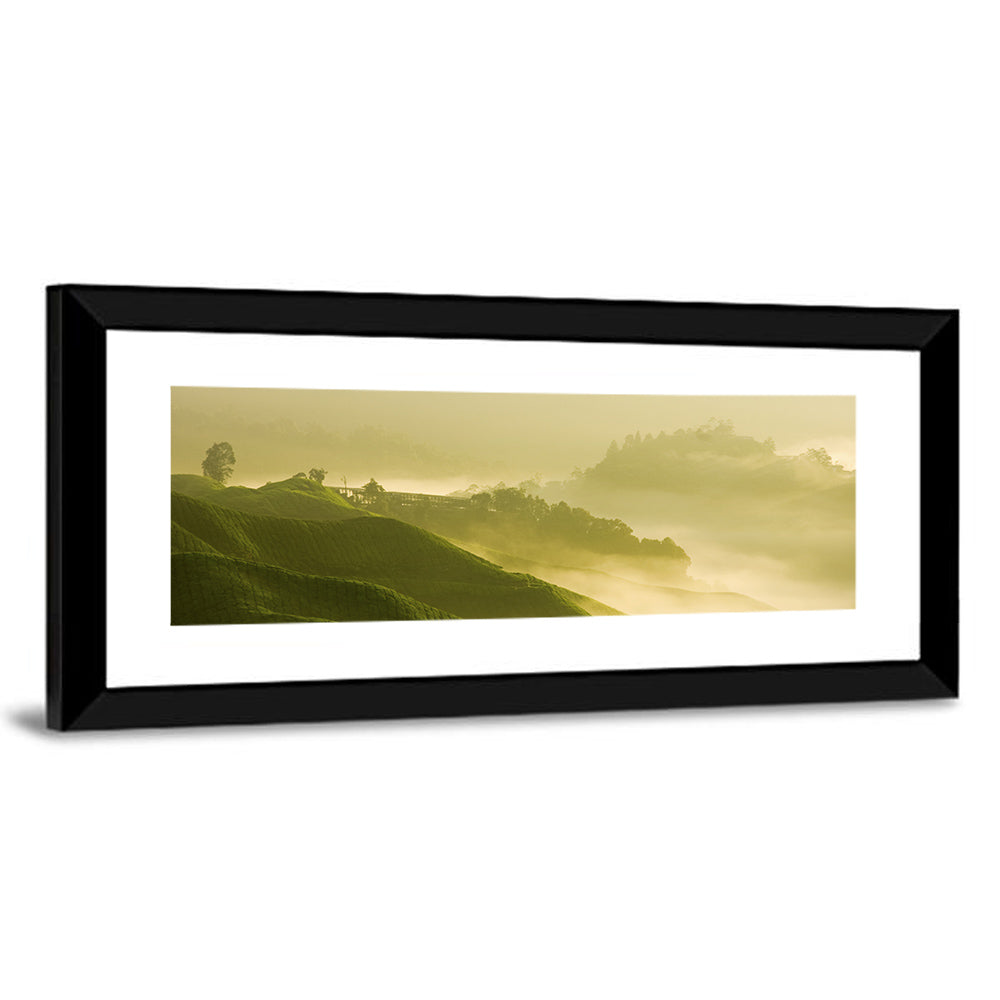 Tea Plantation Morning Mist Wall Art