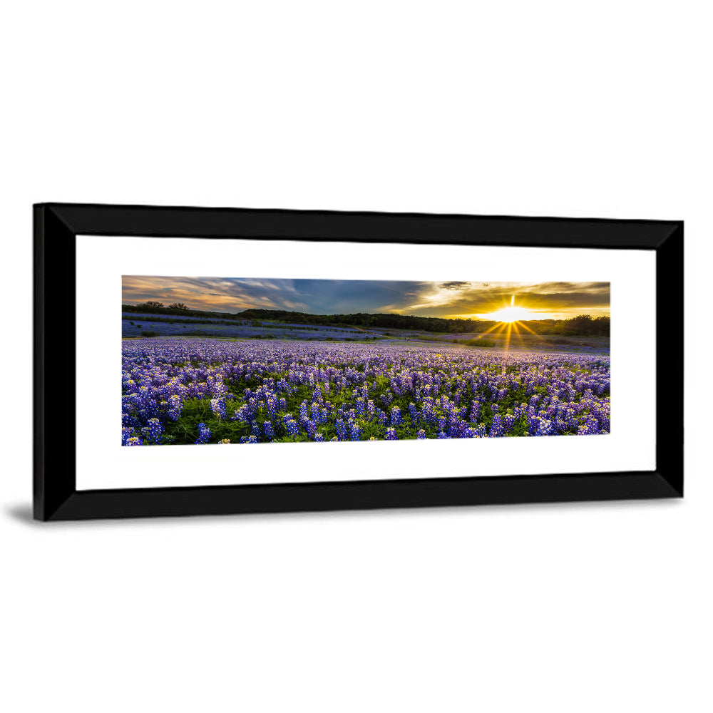 Texas Bluebonnet Field at Sunset Wall Art