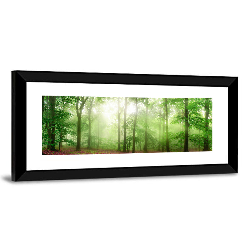 Sunlit Misty Forest Wall Art