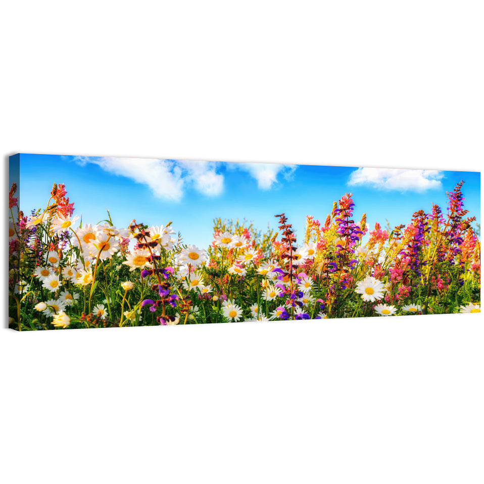 Spring Meadow Wildflowers Wall Art