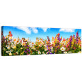 Spring Meadow Wildflowers Wall Art