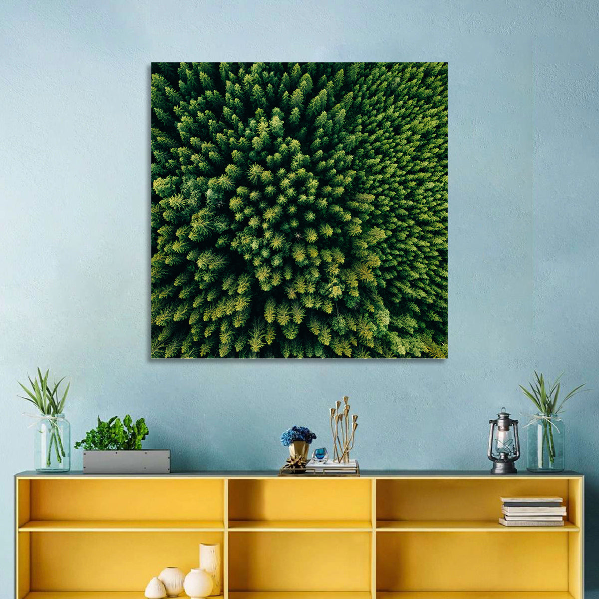 Aerial Conifer Canopy Wall Art