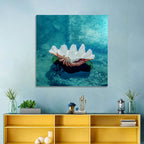 Giant Clam Shell Wall Art