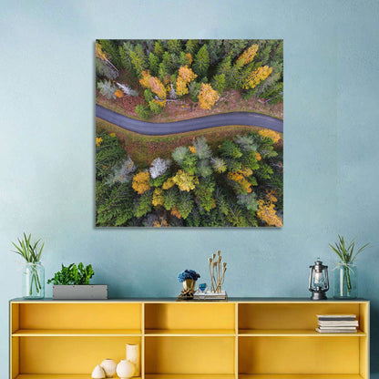 Aerial Autumn Forest Road Wall Art