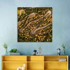 Aerial Curvy Forest Road Wall Art