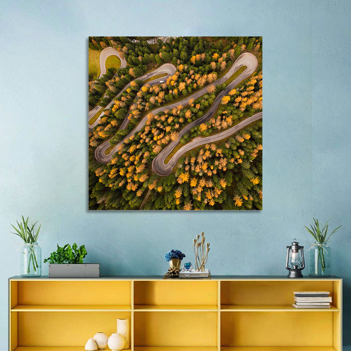Aerial Curvy Forest Road Wall Art
