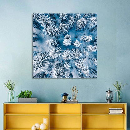 Aerial Snowy Forest Wall Art