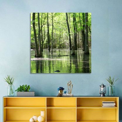 Sunlit Swamp Forest Wall Art