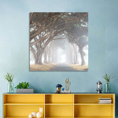 Misty Cypress Tunnel Wall Art