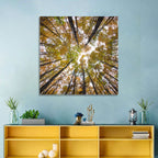 Autumn Forest Canopy Looking Up Wall Art