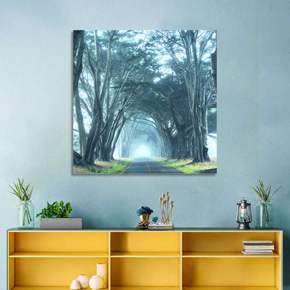 Foggy Cypress Tree Tunnel Wall Art