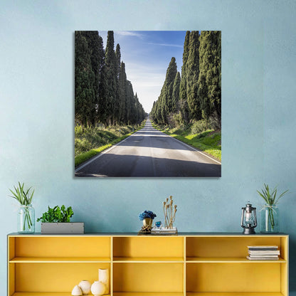 Cypress Trees Avenue Wall Art