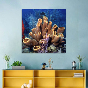 Belize Reef Sponges Wall Art