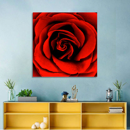 Red Rose Wall Art