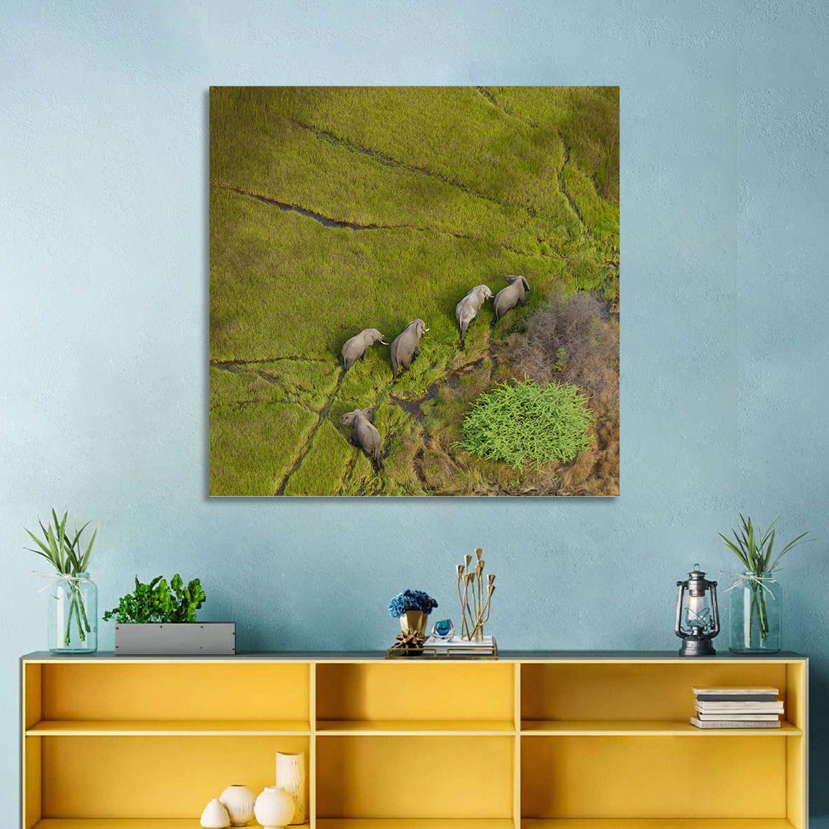 Aerial Herd of Elephants Wall Art