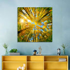Golden Autumn Canopy Wall Art
