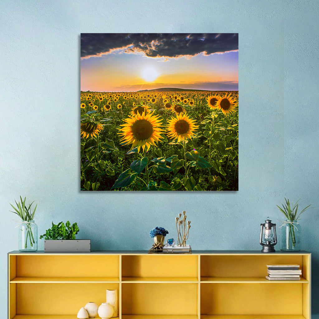 Sunflower Field at Golden Hour Wall Art