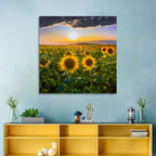 Sunflower Field at Golden Hour Wall Art