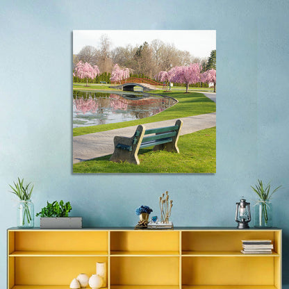 Harrisburg Park Cherry Blossoms Wall Art