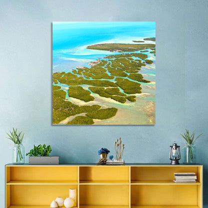 Florida Keys Mangrove Islands Wall Art