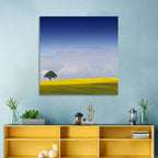 Solitary Tree Over Rapeseed Field Wall Art