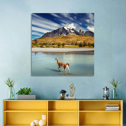 Torres Del Paine, Patagonia Wall Art