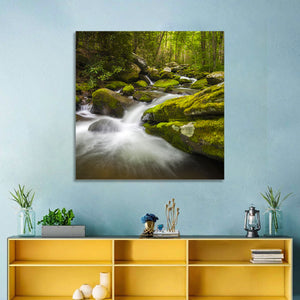 Gatlinburg Park Stream Wall Art