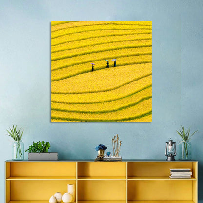 Golden Rice Terraces with Umbrellas Wall Art