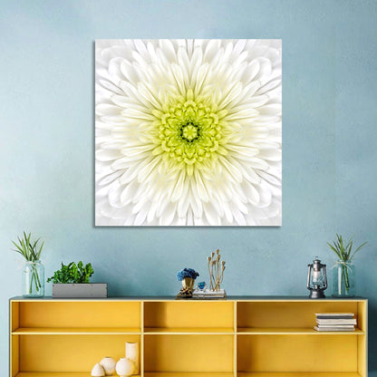 White Chrysanthemum Mandala Close Up Wall Art