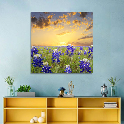 Bluebonnet Field at Sunset Wall Art