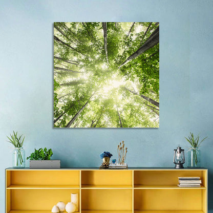 Misty Spring Forest Wall Art