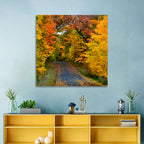 Autumn Road Through Wisconsin Park Wall Art