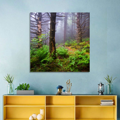 Misty Spruce-fir Trail Wall Art