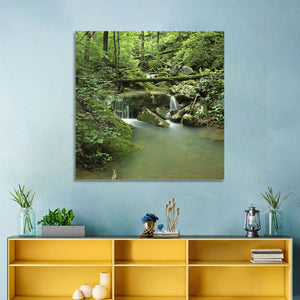 Arkansas Forest Stream Wall Art