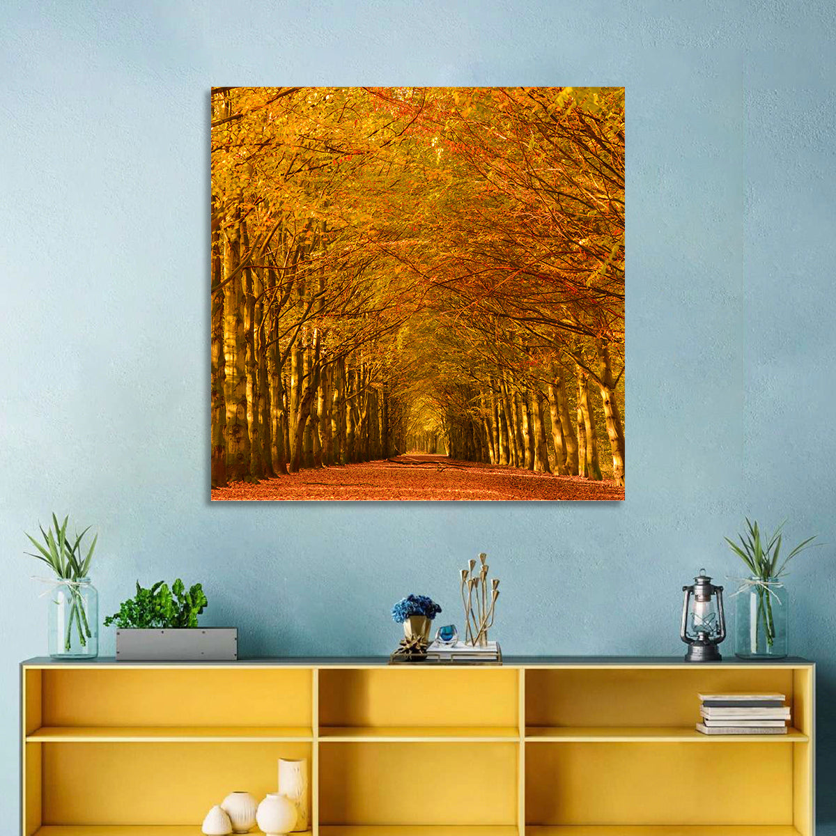 Forest Beech Trees Wall Art