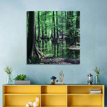 Congaree Swamp Reflection Wall Art