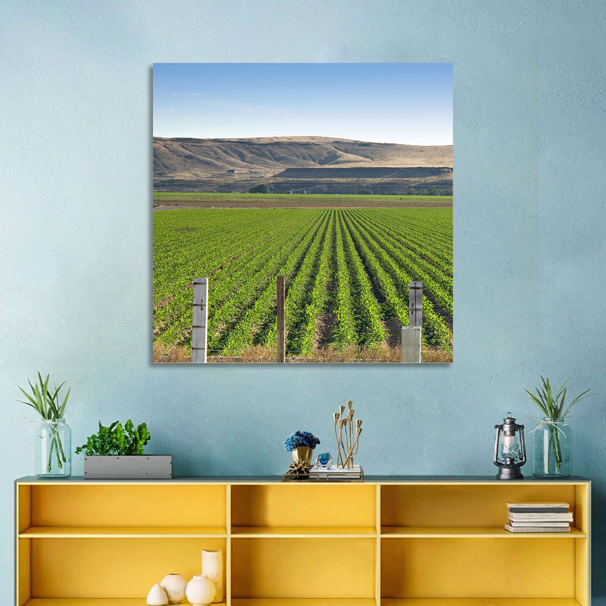 Idaho Corn Field Wall Art